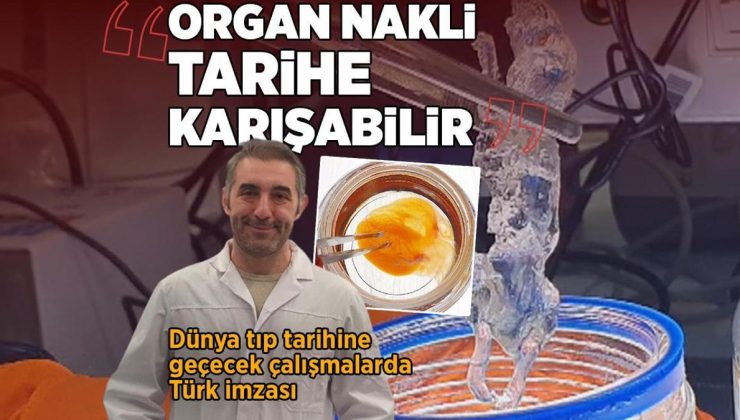 Dünya tıp tarihine geçecek çalışmalarda Türk imzası: Organ nakli tarihe karışabilir!