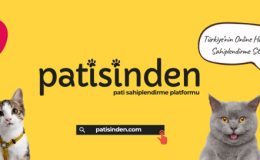 Köpek ilanları için Doğru ilan Metni ve Güvenli Değerlendirme Rehberi