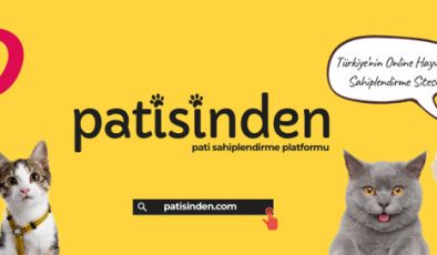 Köpek ilanları için Doğru ilan Metni ve Güvenli Değerlendirme Rehberi