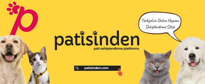 Köpek ilanları için Doğru ilan Metni ve Güvenli Değerlendirme Rehberi