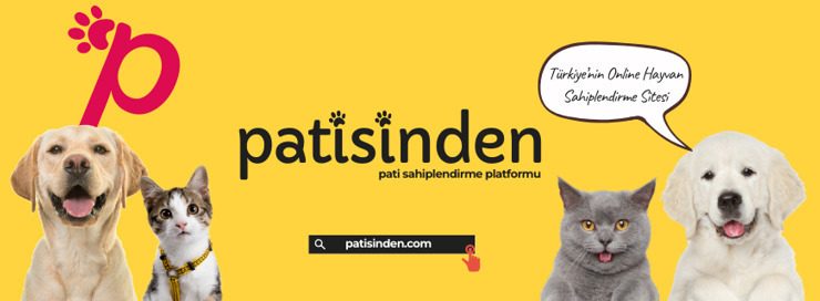 Köpek ilanları için Doğru ilan Metni ve Güvenli Değerlendirme Rehberi